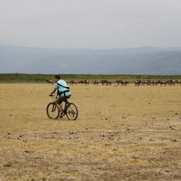 Mountainbike tour Mbo Wa Mbu & Lake Manyara - Mto Wa Mbu - Tanzania