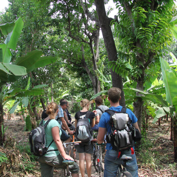 Mountainbike tour Mbo Wa Mbu & Lake Manyara - Mto Wa Mbu - Tanzania