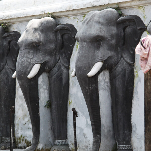 Ruwanweliseya - Anuradhapura - Sri Lanka