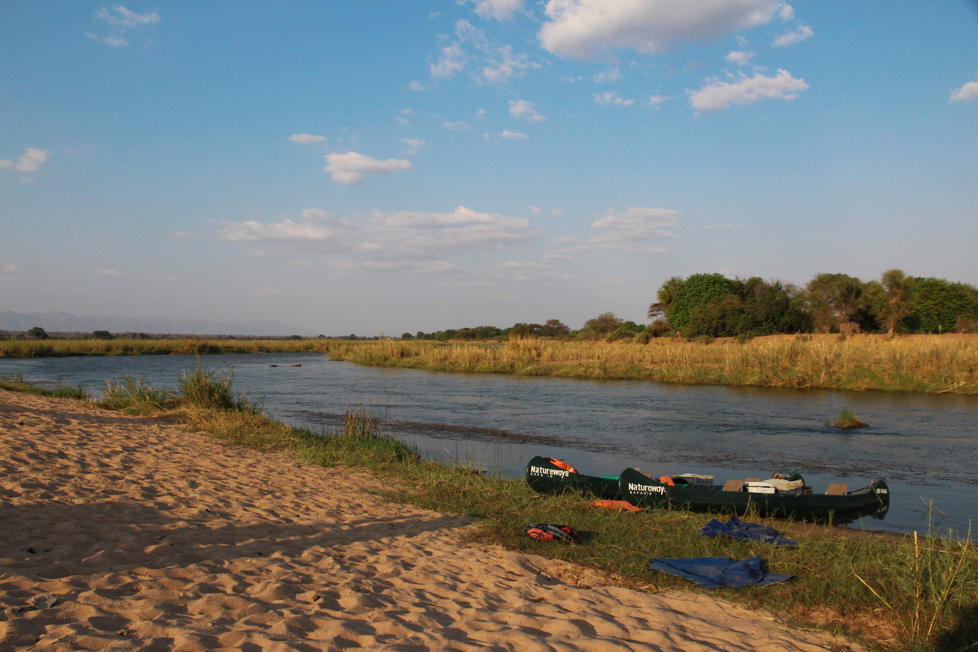 Slalommen om nijlpaarden - een avontuur op de machtige Zambezi rivier - Aanmeren met onze kano's