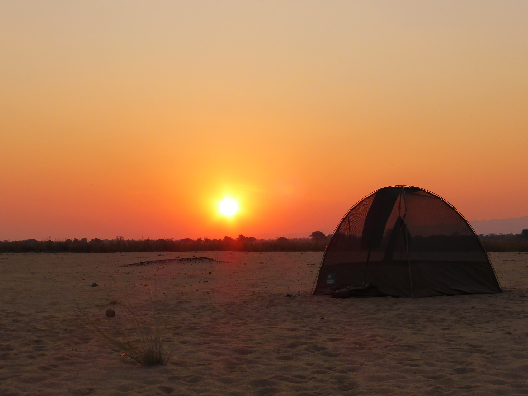 Slalommen om nijlpaarden - een avontuur op de machtige Zambezi rivier - Zonsopkomst