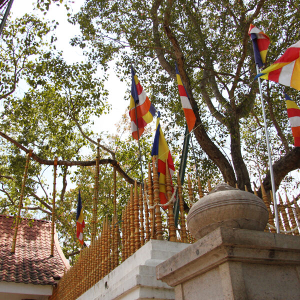 Sri Mahi Bodhi - Anuradhupura - Sri Lanka
