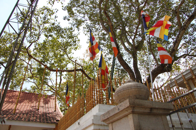 Sri Mahi Bodhi - Anuradhupura - Sri Lanka