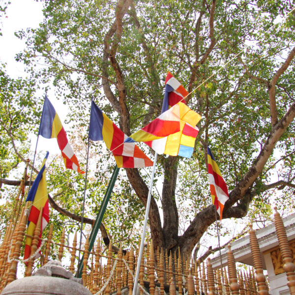 Sri Mahi Bodhi - Anuradhupura - Sri Lanka