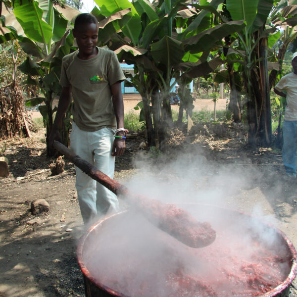 Village walk Mto Wa Mbu - Tanzania