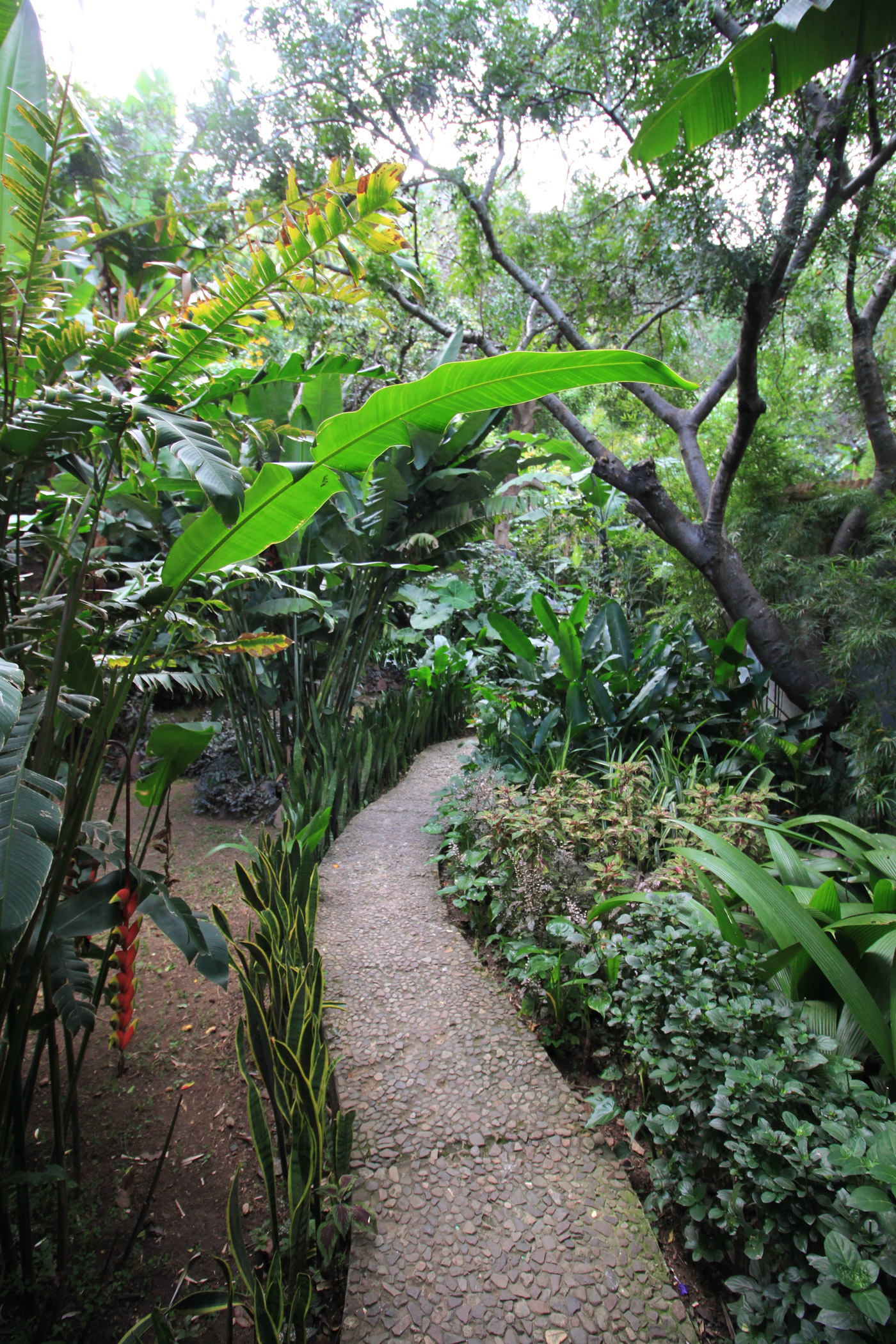 Bijzondere hotels: Isla Verde in Guatemala