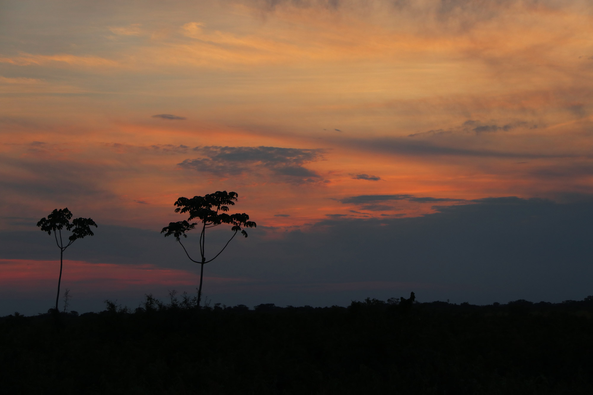 Reisverslag Bolivia: De wetlands van Bolivia - Zonsondergang