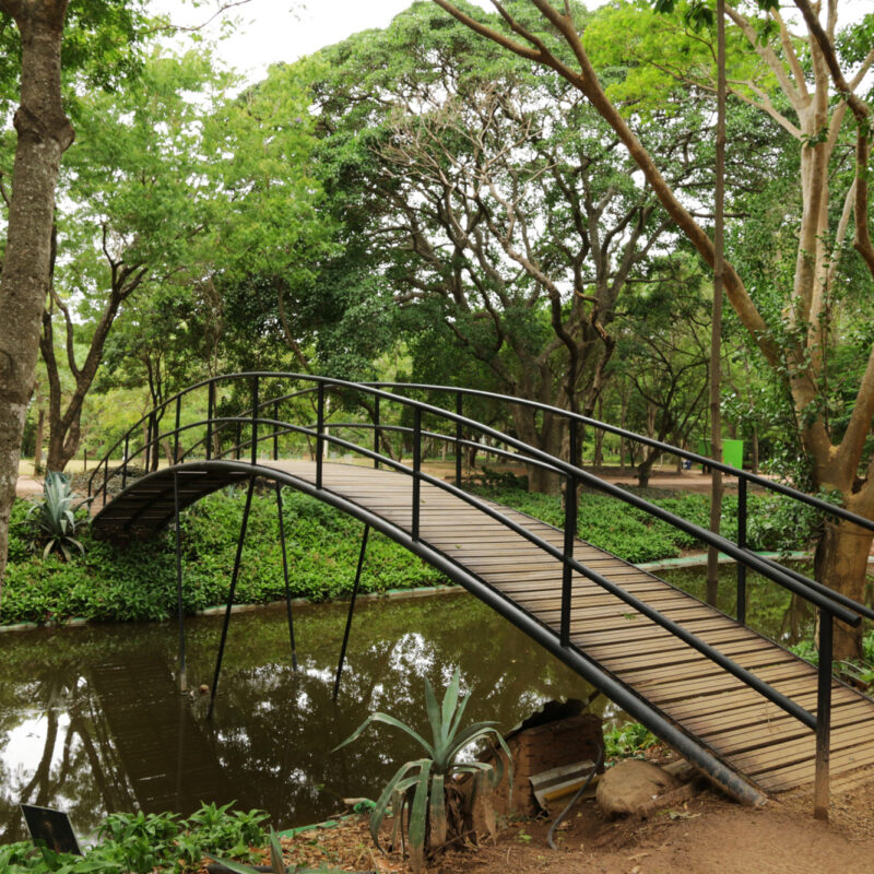 Reisverslag Bolivia: Einde van een spectaculaire reis - Jardin Botanico