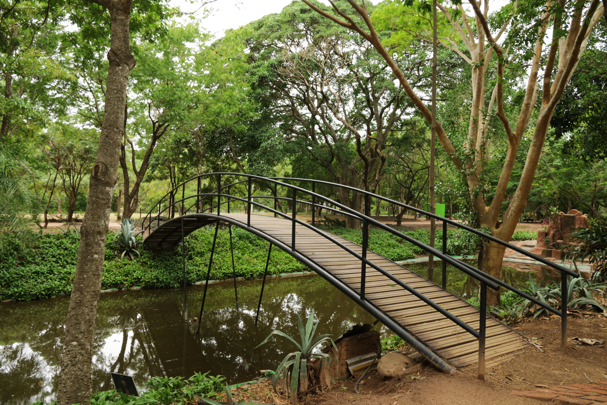 Reisverslag Bolivia: Einde van een spectaculaire reis - Jardin Botanico