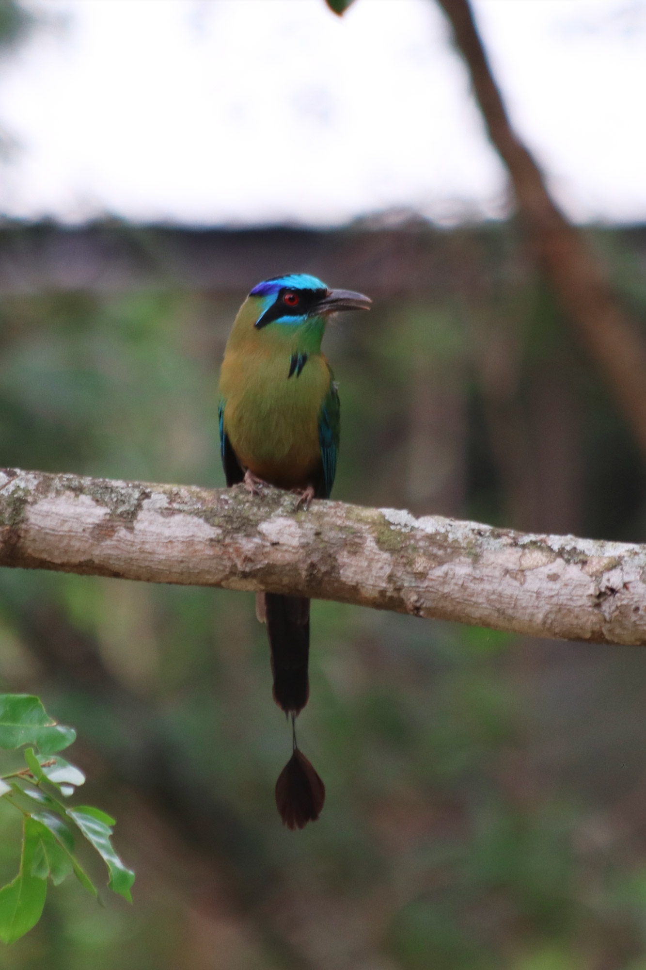 Reisverslag Bolivia: Einde van een spectaculaire reis - Motmot