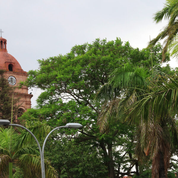 Catedral Basílica de San Lorenzo - Santa Cruz de la Sierra - Bolivia
