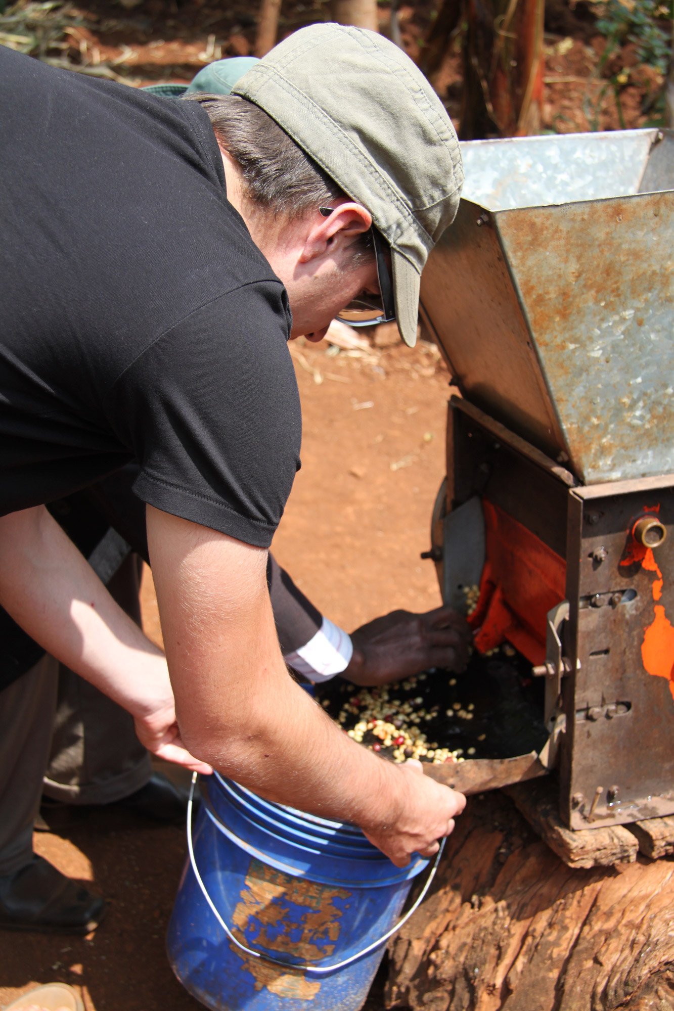 Een bezoek aan een koffieplantage in Tanzania