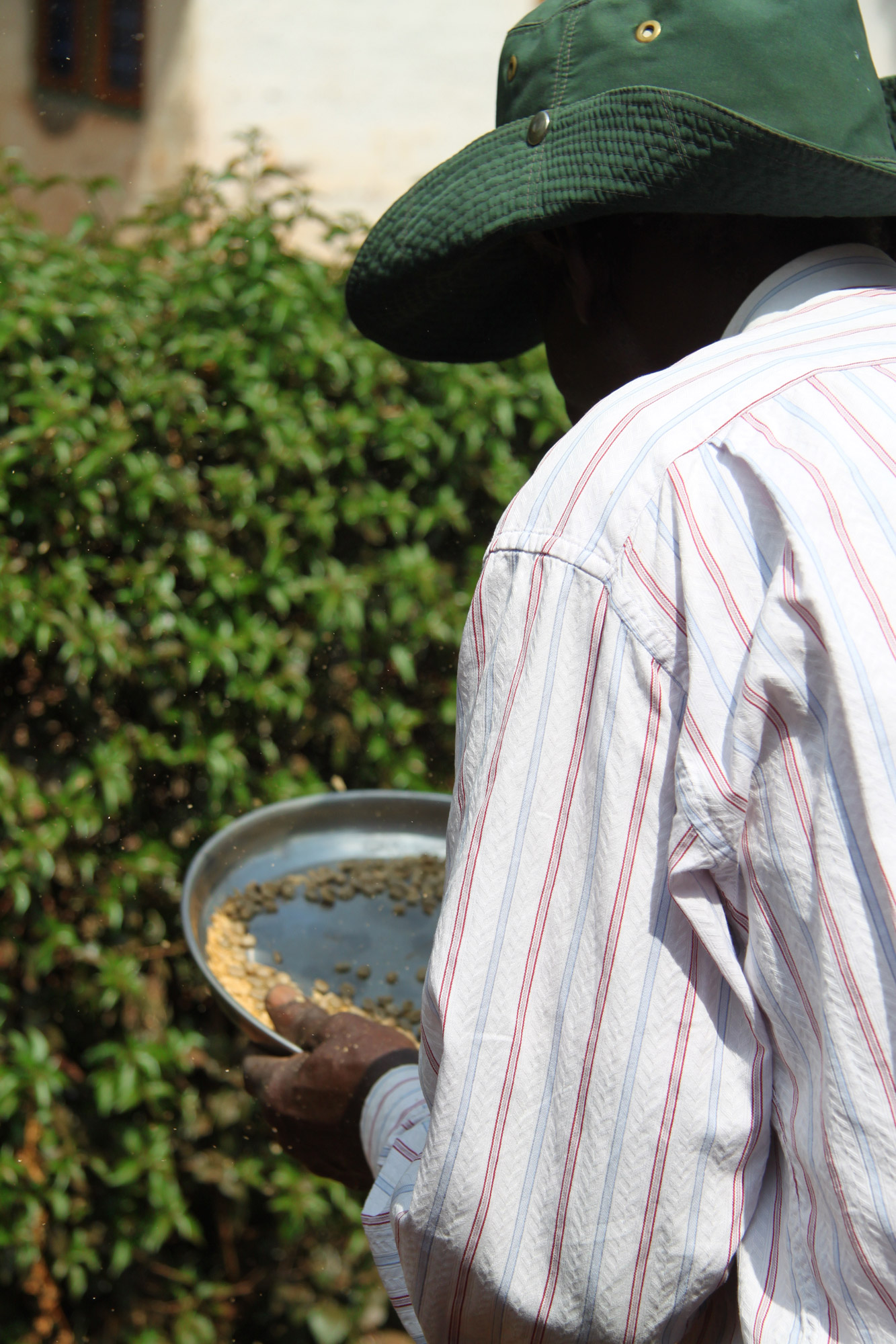 Een bezoek aan een koffieplantage in Tanzania