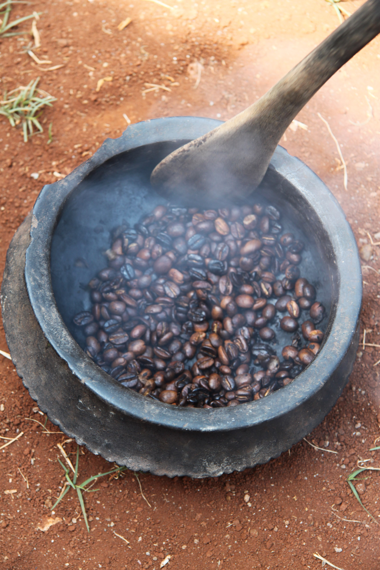 Een bezoek aan een koffieplantage in Tanzania