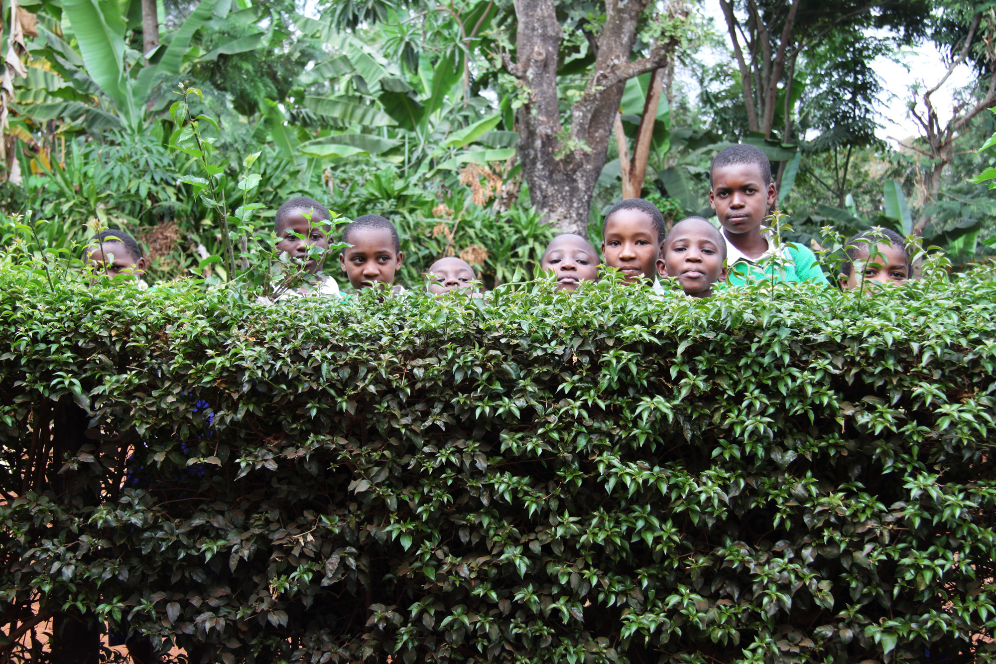 Een bezoek aan een koffieplantage in Tanzania
