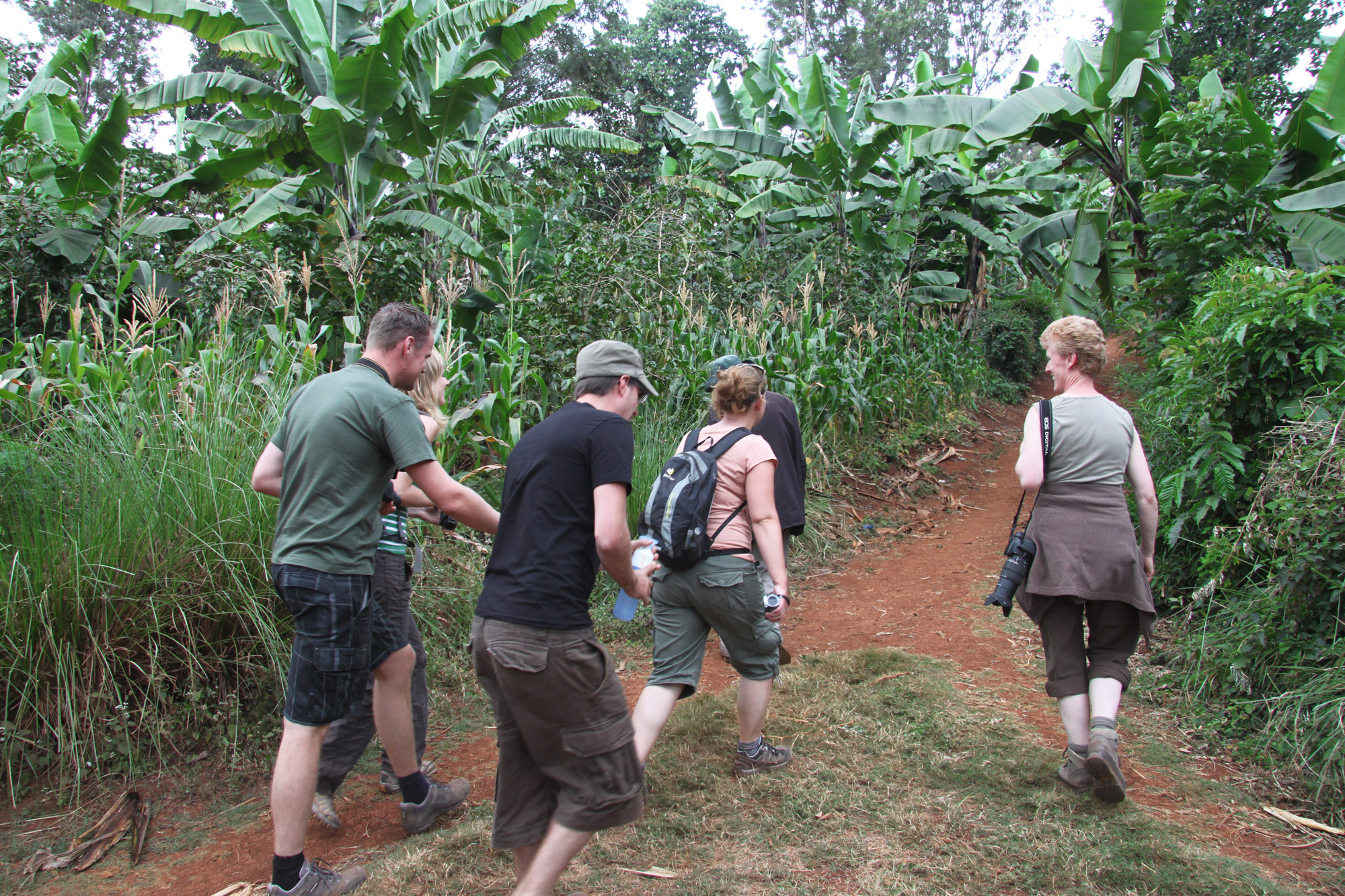 Een bezoek aan een koffieplantage in Tanzania