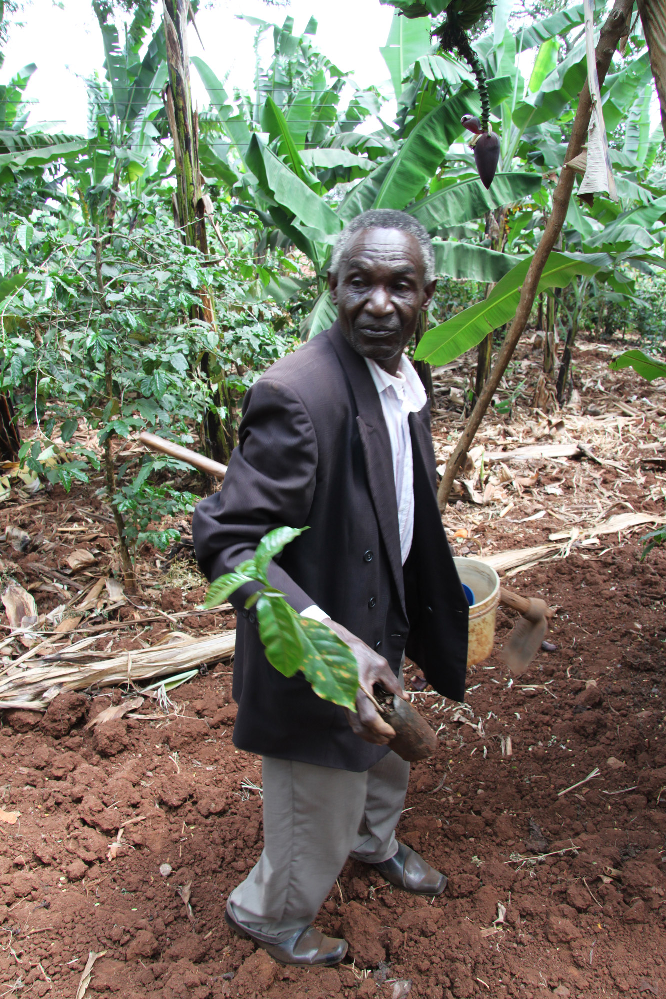 Een bezoek aan een koffieplantage in Tanzania