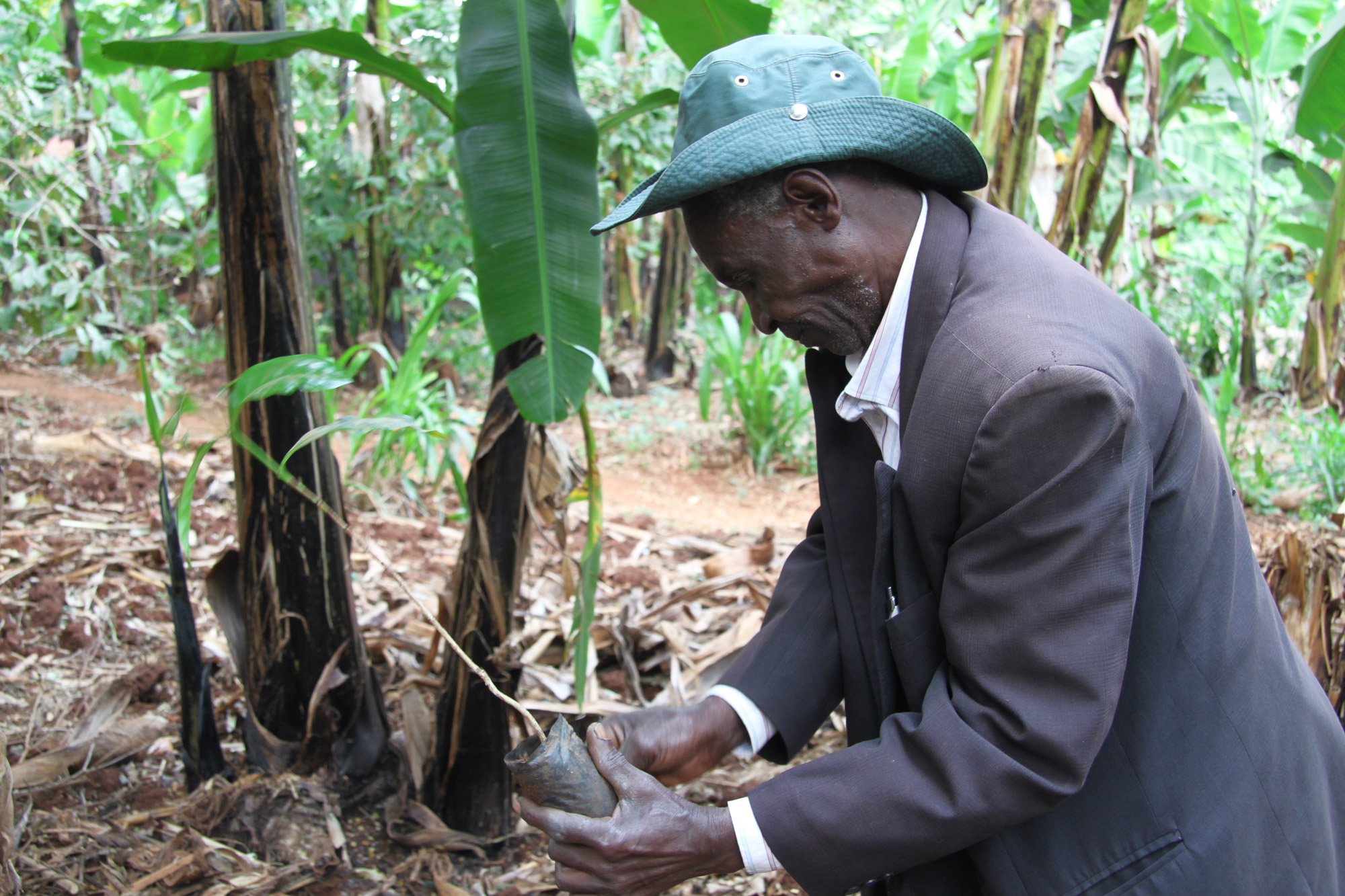 Een bezoek aan een koffieplantage in Tanzania