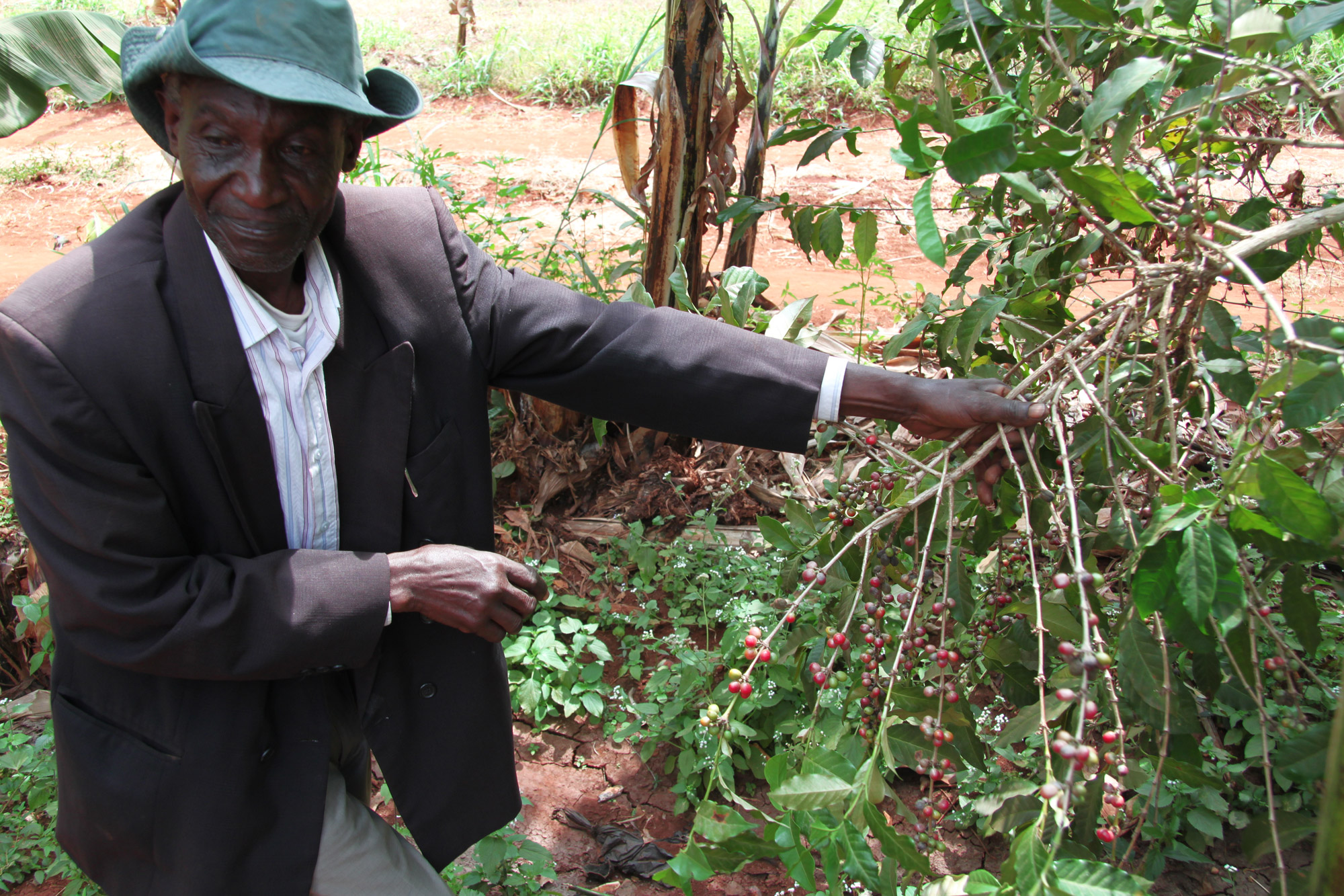 Een bezoek aan een koffieplantage in Tanzania