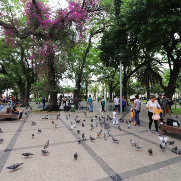 Plaza 24 de Septiembre - Santa Cruz de la Sierra - Bolivia