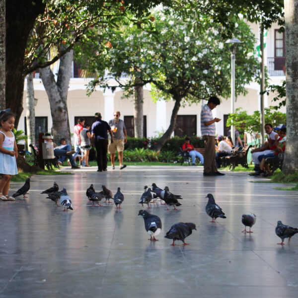 Plaza 24 de Septiembre - Santa Cruz de la Sierra - Bolivia