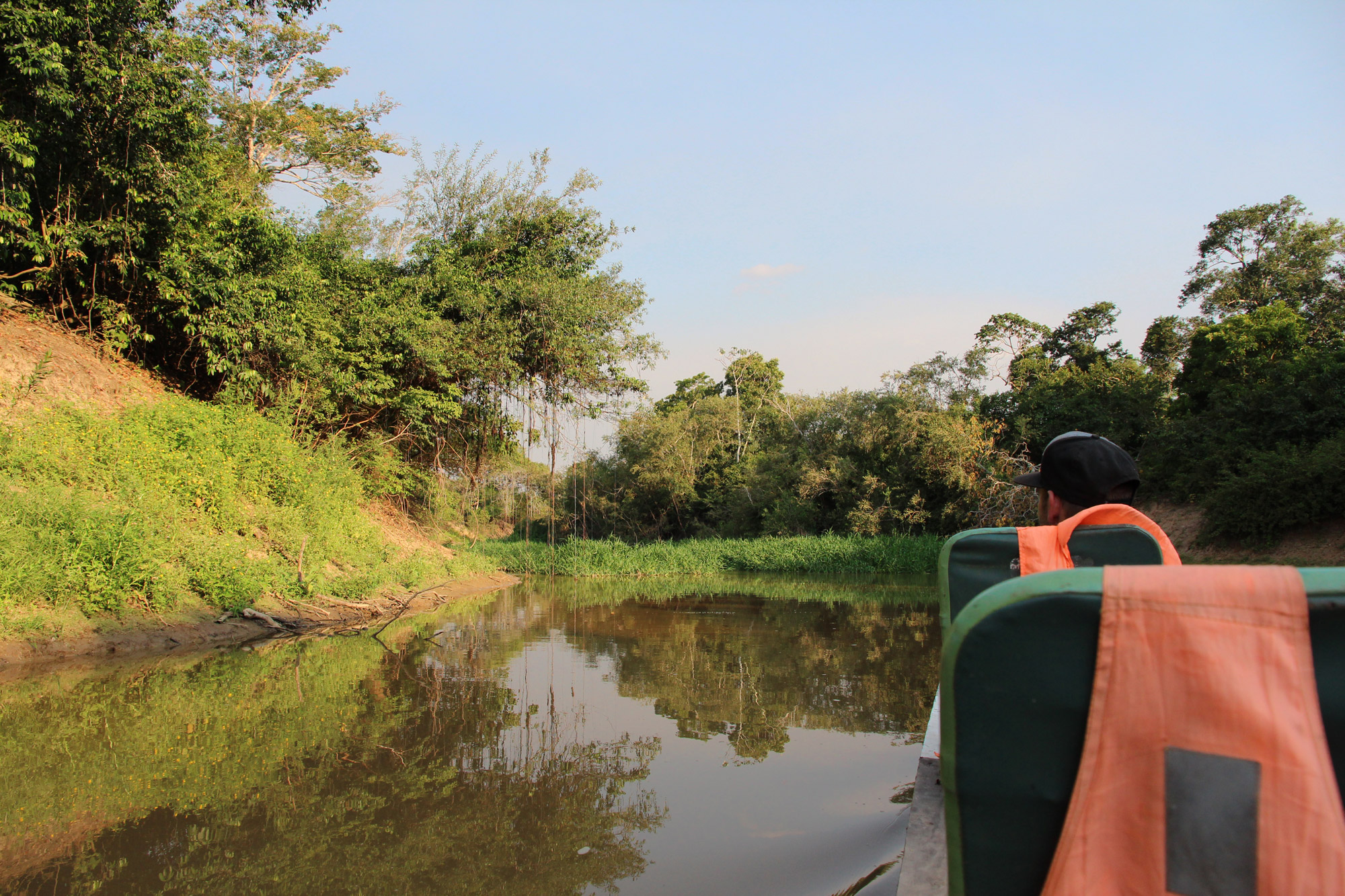 Beste plekken in Bolivia om wildlife te spotten: Pampas