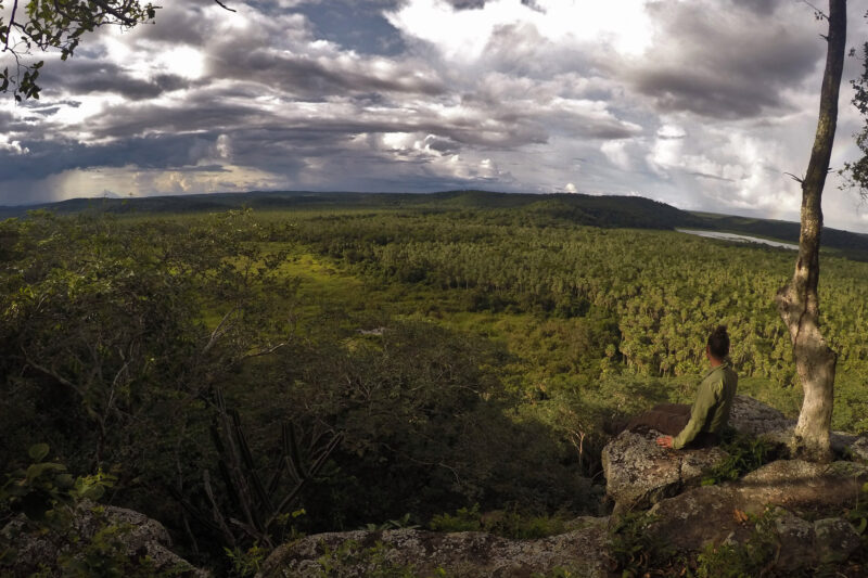 Beste plekken in Bolivia om wildlife te spotten: San Miguelito Jaguar Range