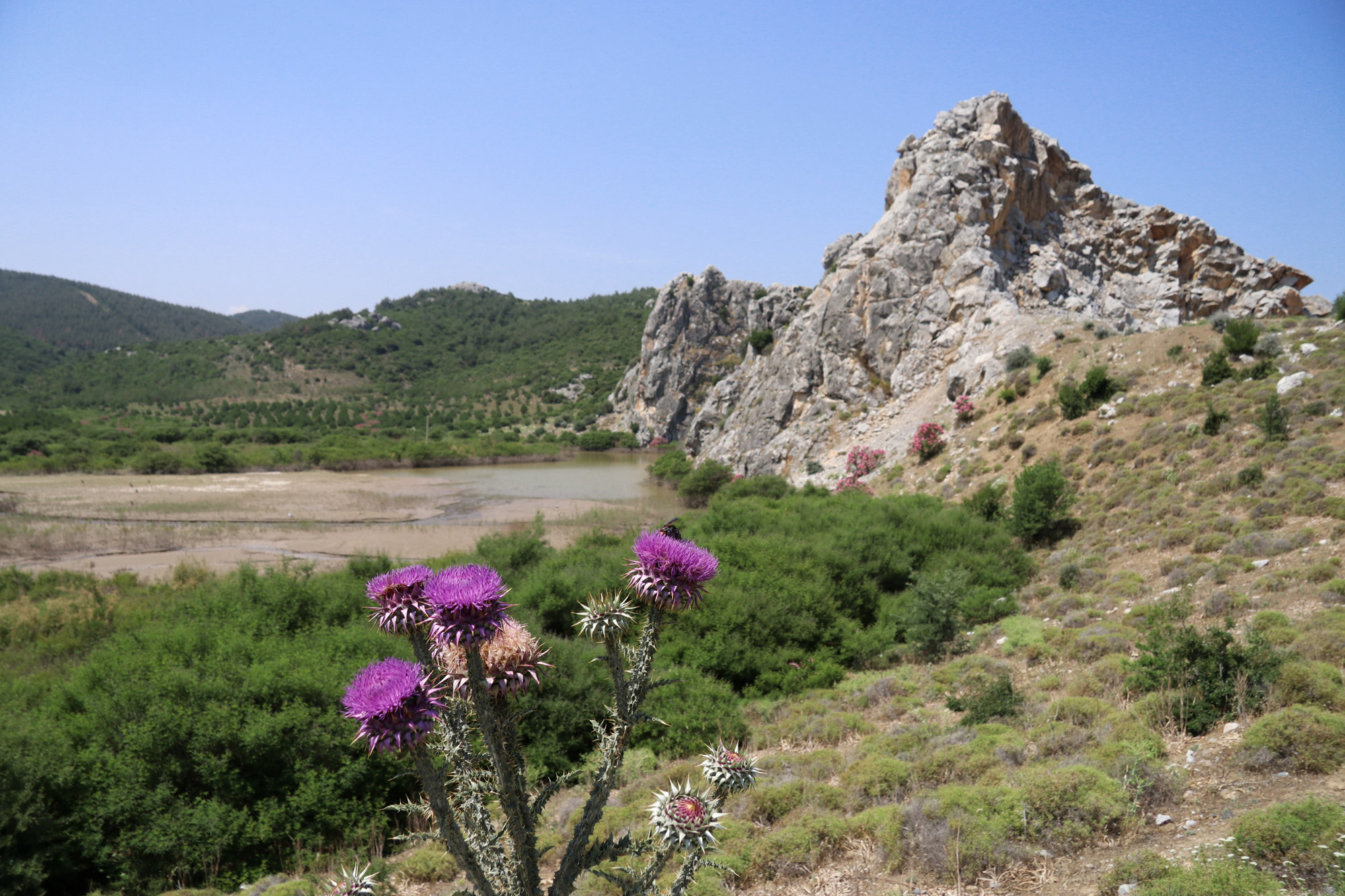 Turkije reisverslag: Bergama en Ayvalik - Fantastische landschappen