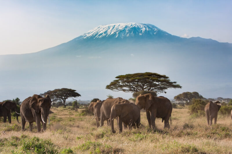 5 bezienswaardigheden die je gezien moet hebben in tanzania - Kilimanjaro