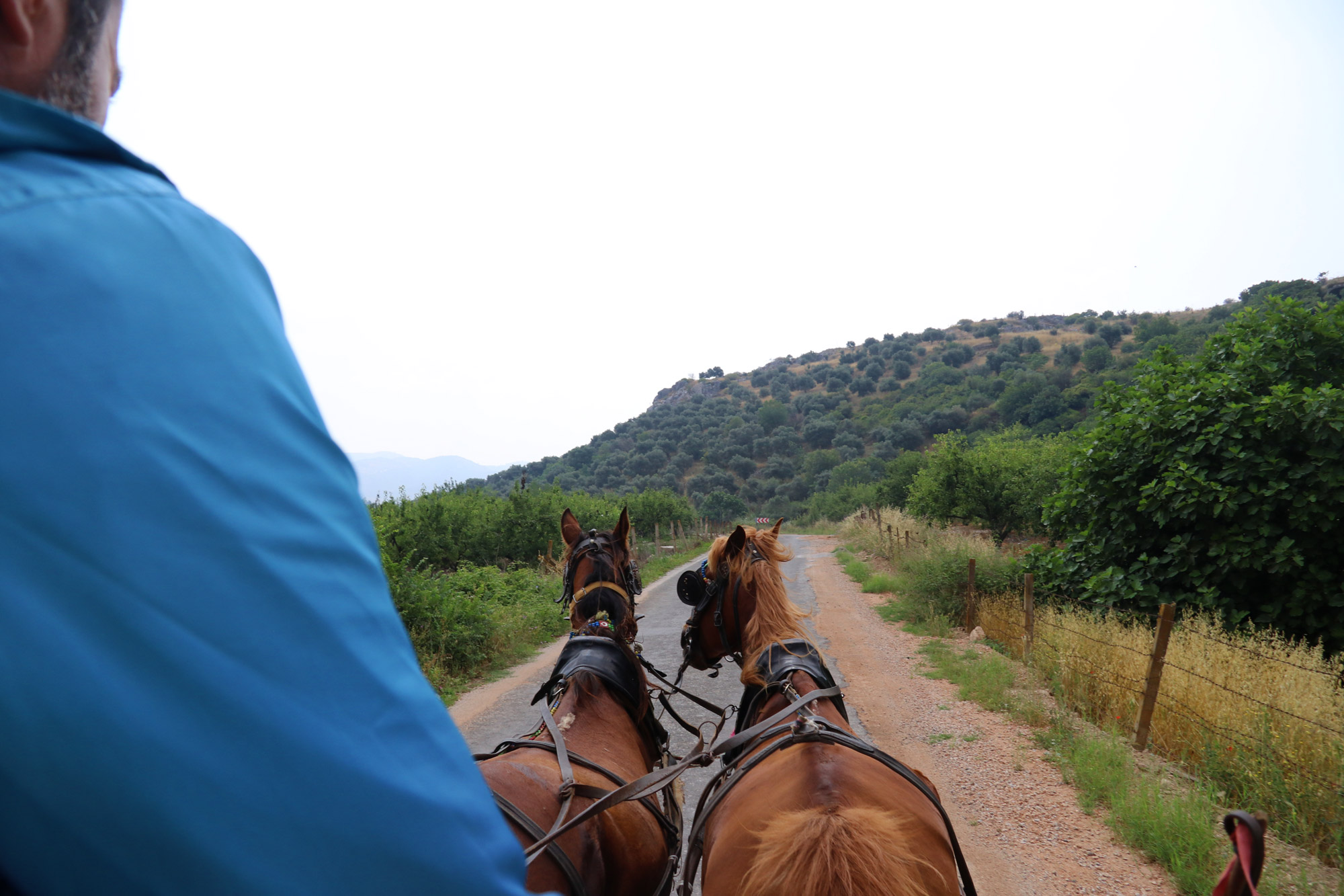 Turkije reisverslag: Efeze en Şirince - Met paard en wagen naar de ingang van Efeze