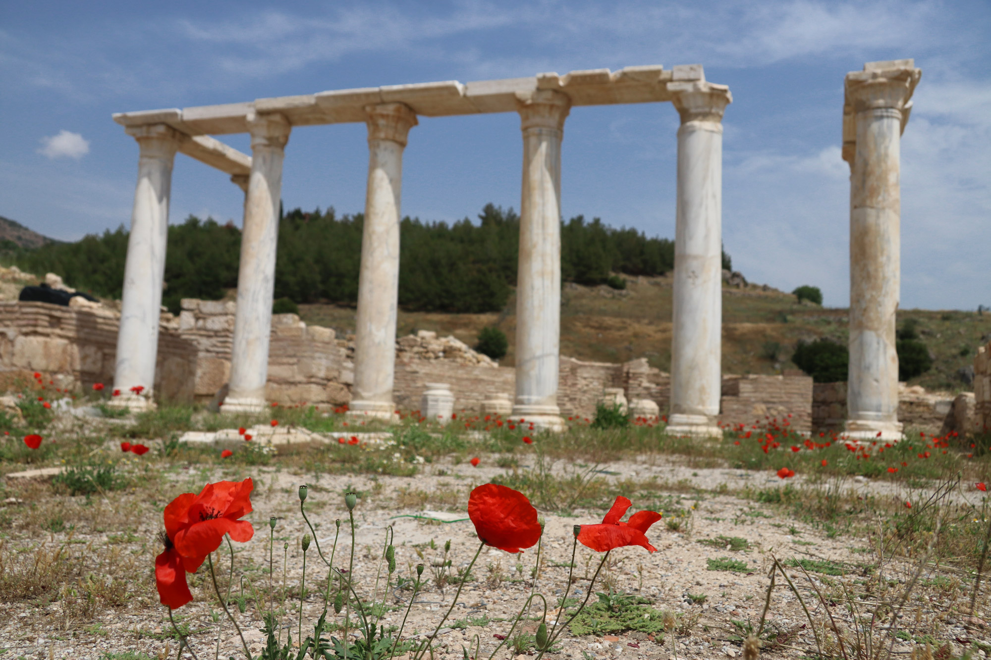 Turkije reisverslag: Pamukkale en Hiërapolis - Aghiasma