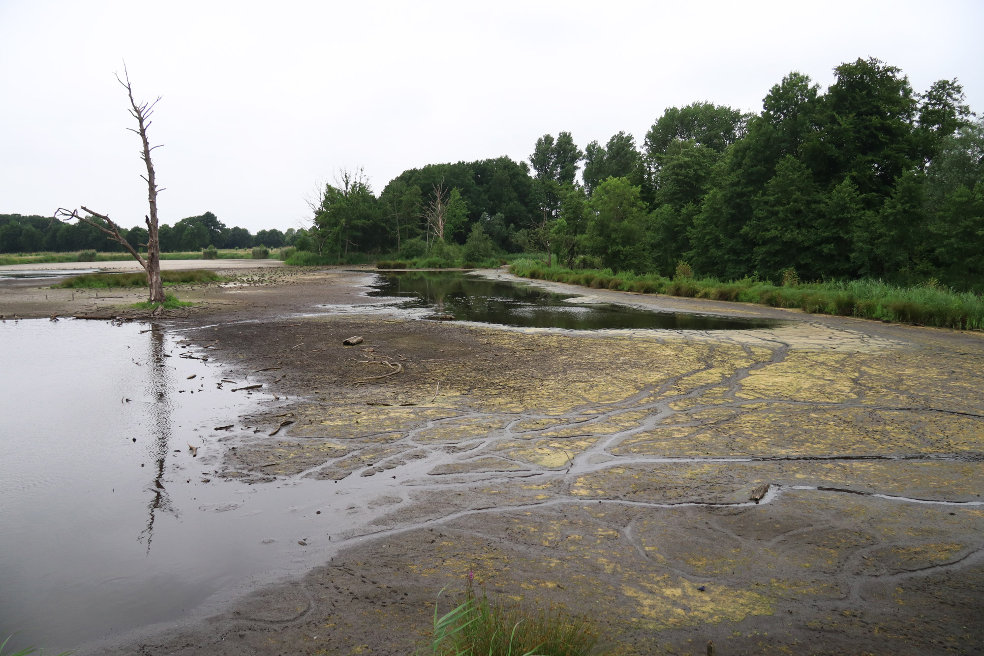 Wandeling Nette Seen - Biologischen Station Krickenbecker Seen
