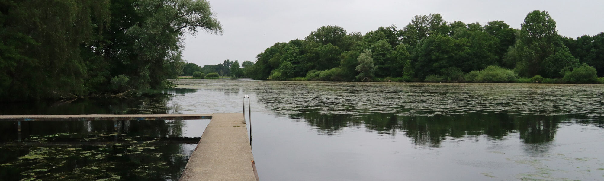 Wandeling Nette Seen - De Wittsee