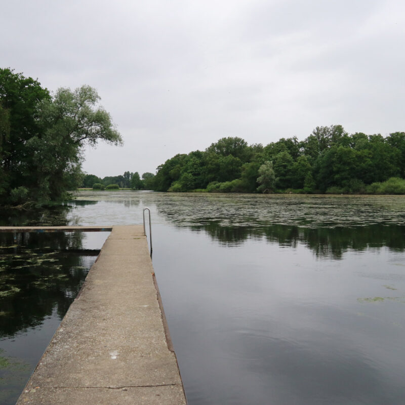 Wandeling Nette Seen - De Wittsee