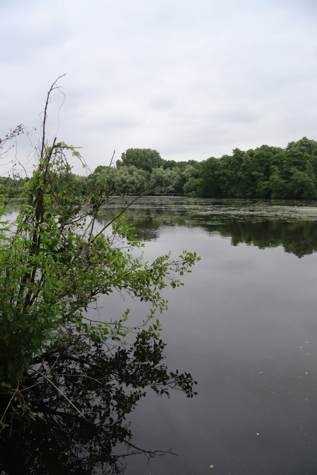 Wandeling Nette Seen - De Wittsee