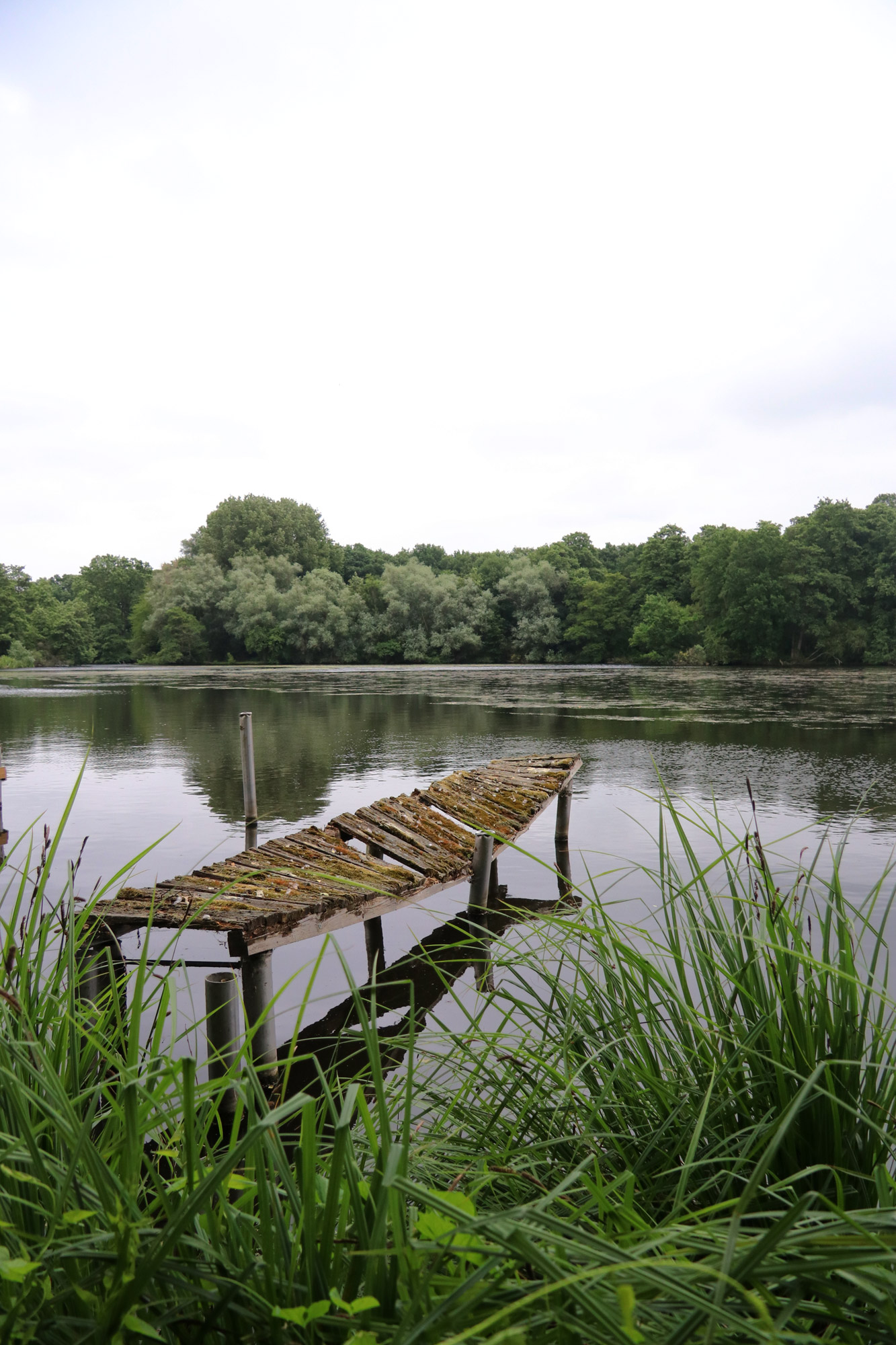Wandeling Nette Seen - De Wittsee