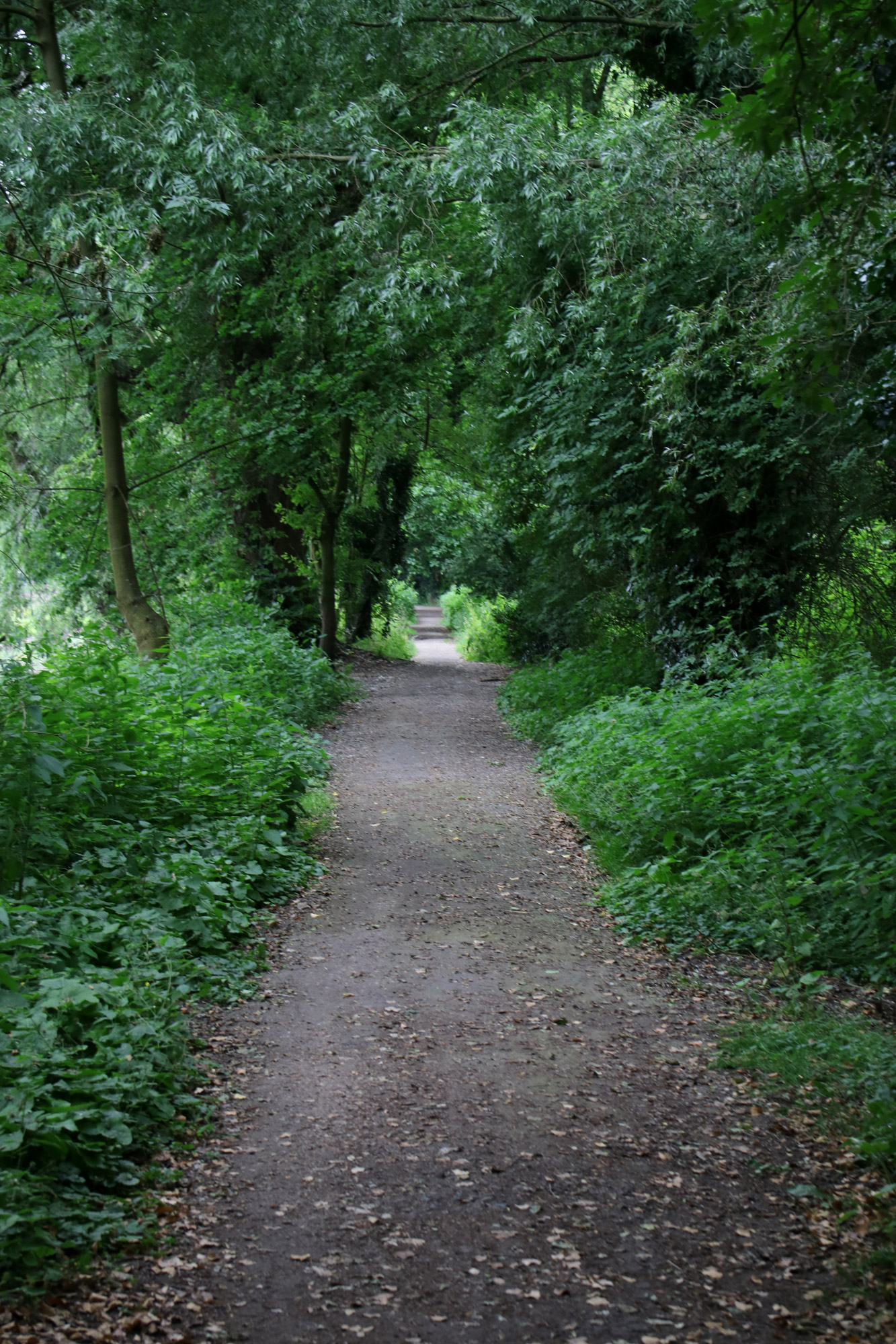 Wandeling Nette Seen - De laatste kilometers