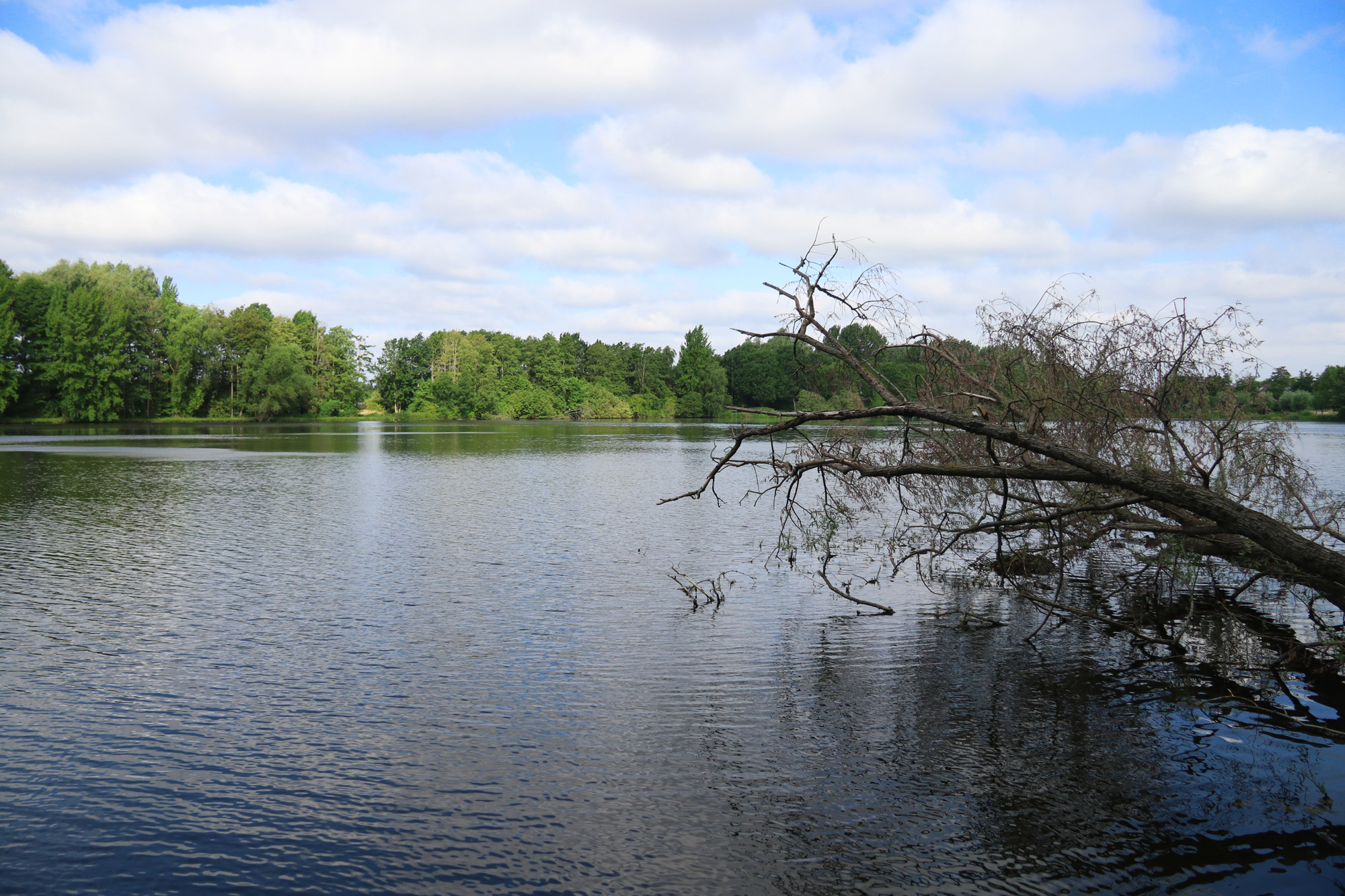 Wandeling Nette Seen - Windmühlenbruch