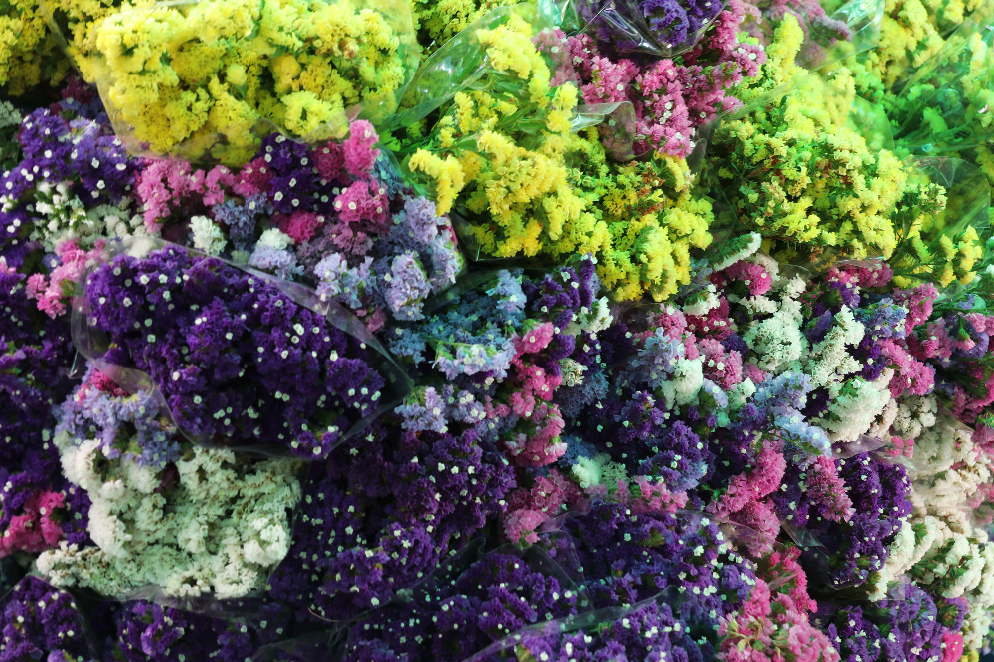 Turkije reisverslag: Laatste dag in Alaçatı - Bloemen op de markt van Alaçatı