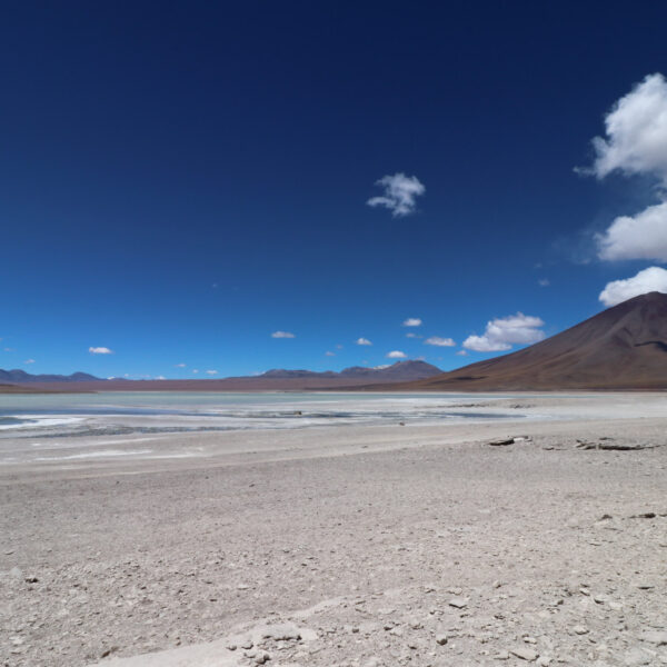 Laguna Blanca - Departement Potosí - Bolivia