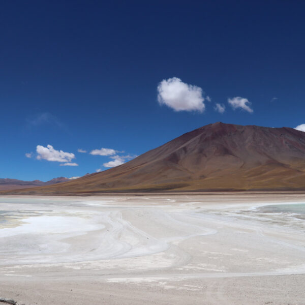 Laguna Blanca - Departement Potosí - Bolivia