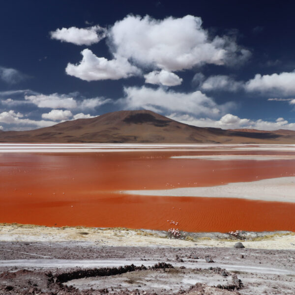 Laguna Colorada - Departement Potosí - Bolivia