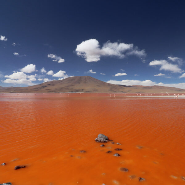Laguna Colorada - Departement Potosí - Bolivia