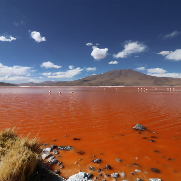 Laguna Colorada - Departement Potosí - Bolivia