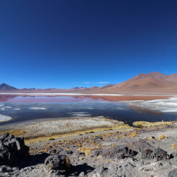 Laguna Colorada - Departement Potosí - Bolivia