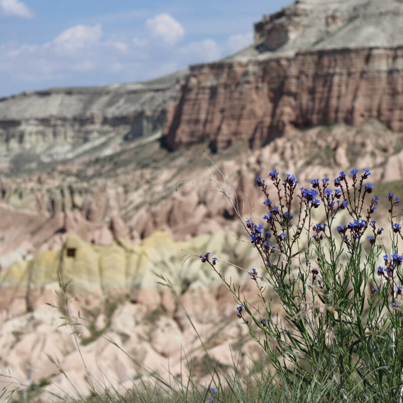 Reisvideo: Kızılçukur Vadisi
