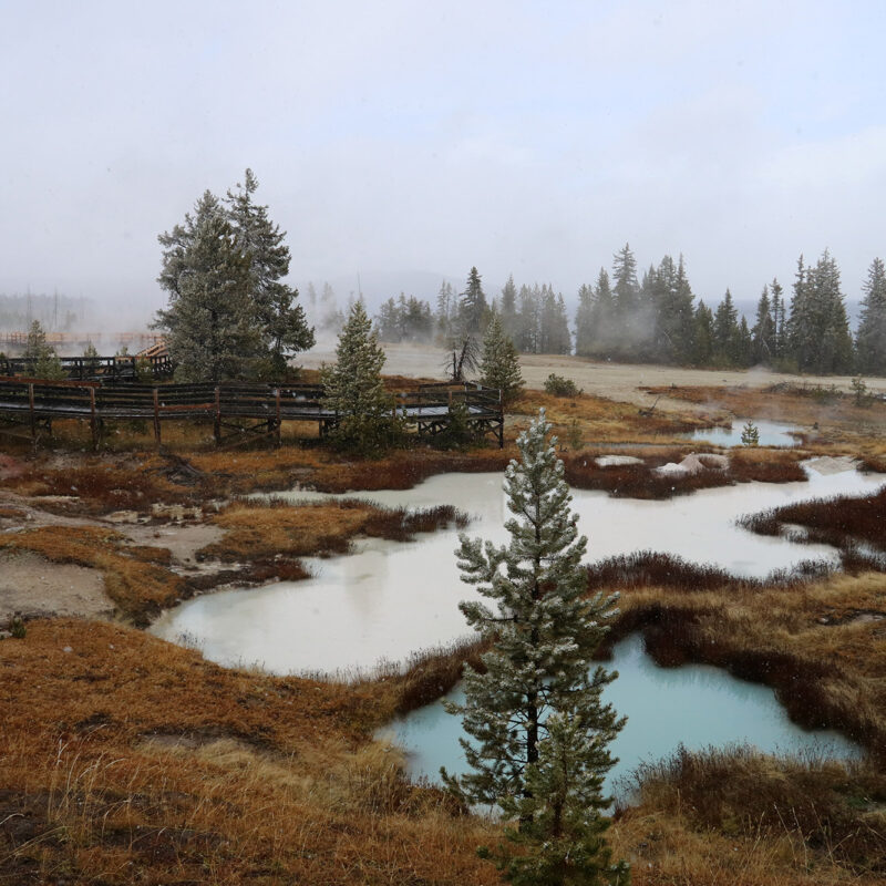 Reisverslag Amerika #2: Op naar Yellowstone National Park