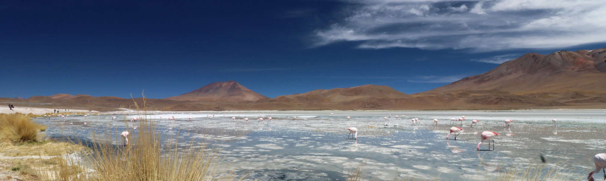 Bolivia 2016 - Dag 11 - Laguna Charcota