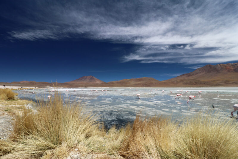 Bolivia 2016 - Dag 11 - Laguna Charcota