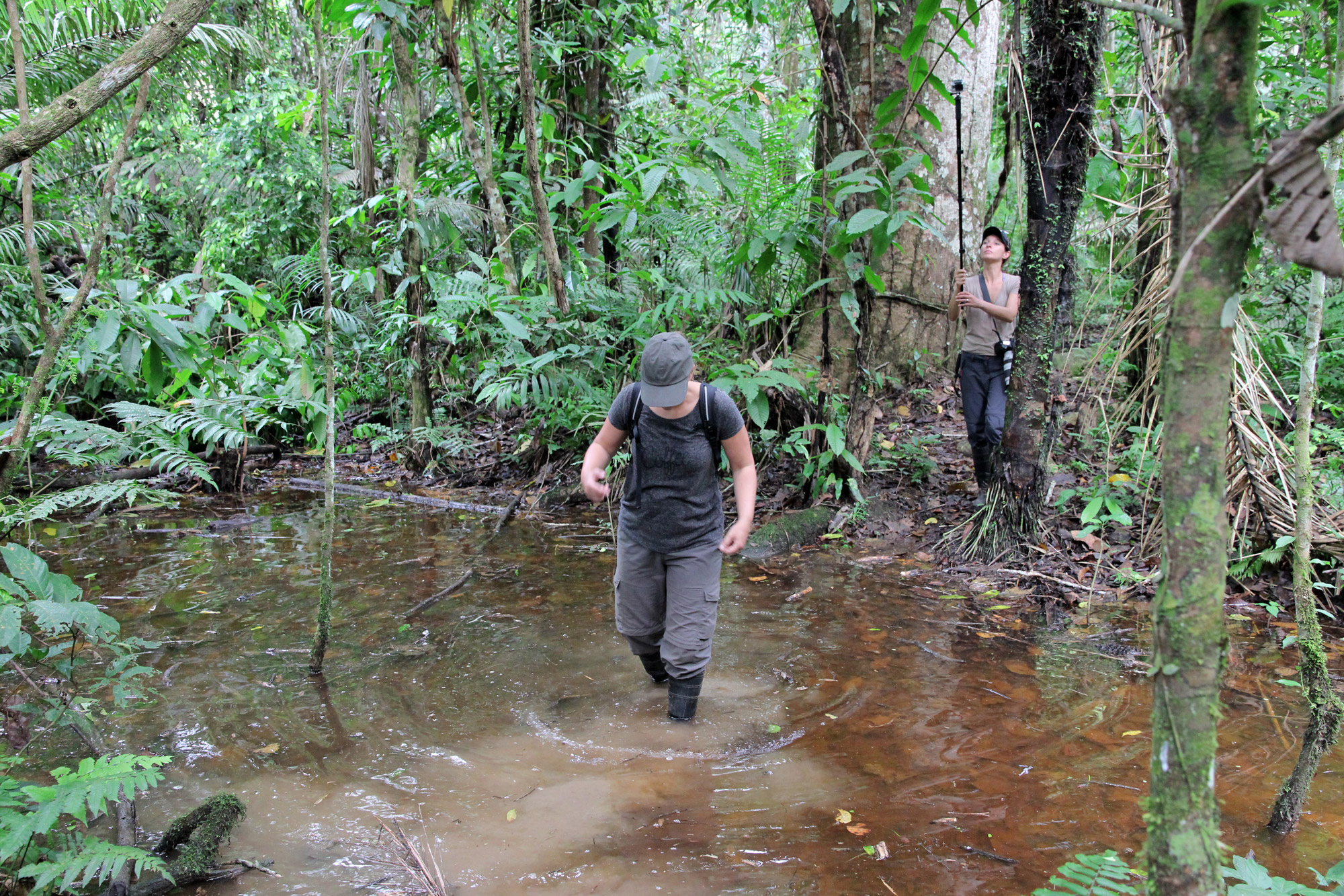 Bolivia 2016 - Dag 17 - Hiken in de jungle van Parque Nacional Madidi